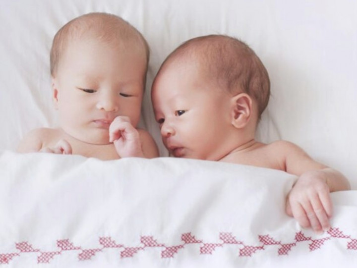 Hal yang Harus Ibu Ketahui saat Hamil Bayi Kembar