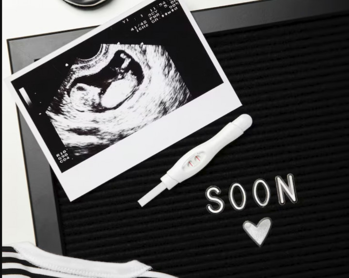 Bagaimana Perkembangan Bayi Kembar di Kandungan pada Usia 4 sampai 20 Minggu?