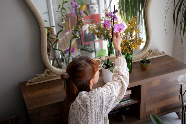 7 Benda yang Dianggap Bawa Sial Menurut Feng Shui, Hindari di Rumah Kamu!