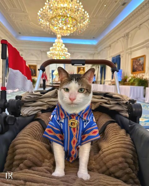 Keren! Bobby Kertanegara Juga Ikut Meriahkan HUT ke-80 RI