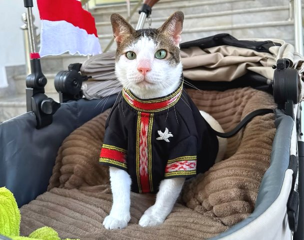 Berikut tiga berita terpopuler gaya. (Foto: Dok. Instagram Bobby Kertanegara/@bobbykertanegara)
