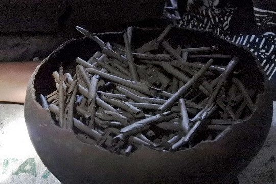 Pakar Gizi UGM Ungkap Keamanan Makan Ampo