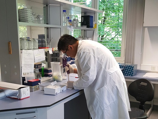 Guru Besar ITS Gencar Teliti Hewan Spons