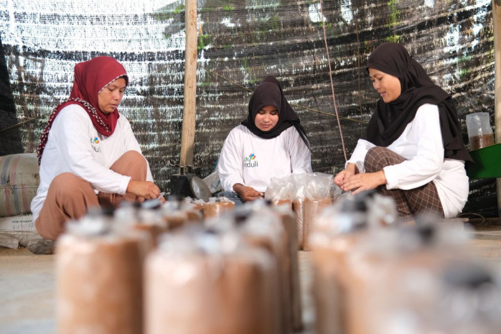 Dari Lahan Tidur Jadi Produktif, PLN Indonesia Power Sulap Desa Merah Mata