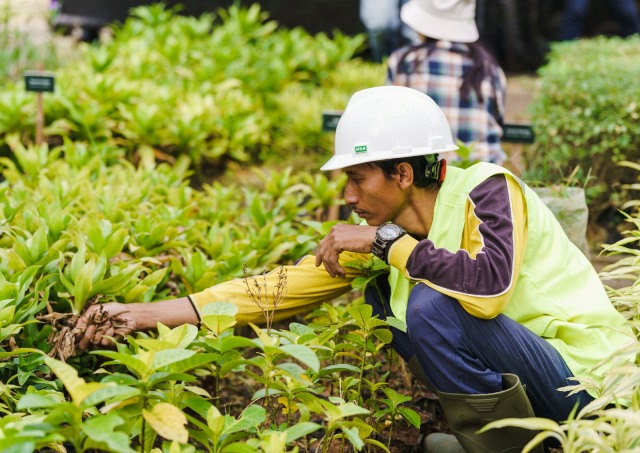Strategi LPKR Kurangi Emisi dan Dorong Energi Hijau