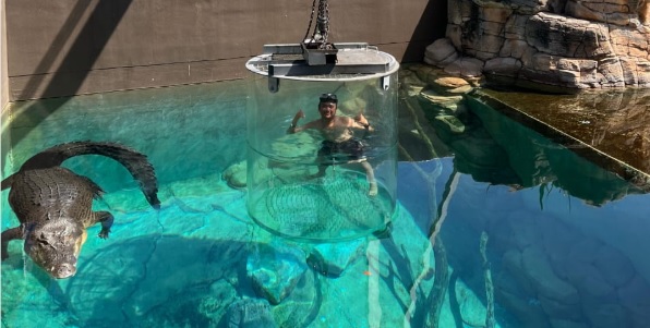 Sensasi Mendebarkan Berenang Bersama Buaya Raksasa di Kota Darwin