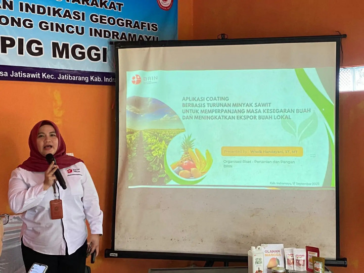 Teknologi Edible Coating Cegah Kerugian Pascapanen Mangga Indramayu