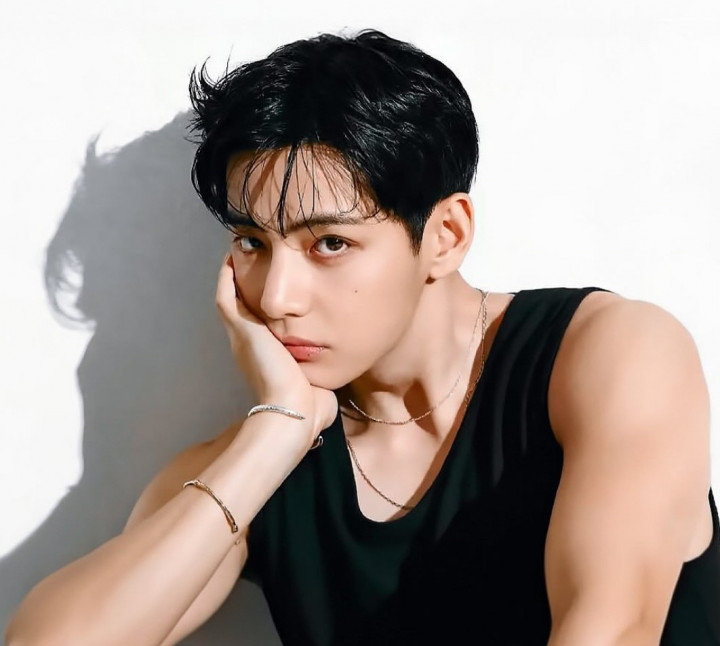 V BTS Cetak Rekor Global lewat Lagu 