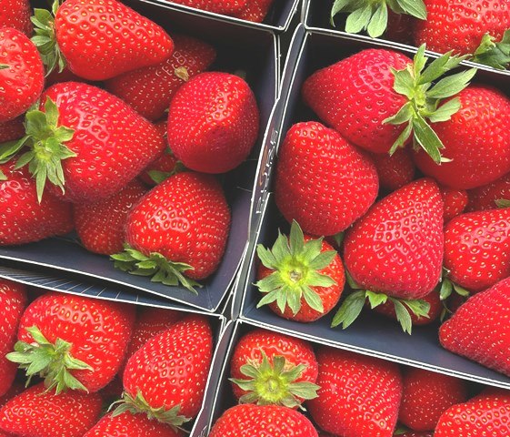 Konsumsilah 4 Buah Terbaik untuk Mengurangi Asam Urat