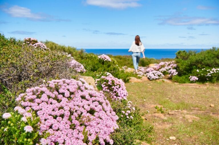Festival bunga liar di Australia Barat. Foto: dok. Tourism Western Australia