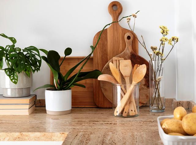 Berita Terpopuler Properti: Tanaman yang Cocok di Dapur hingga Bersihkan Kompor Tanam