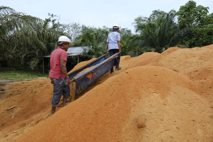 PLN EPI <i>Rebranding</i> Biomassa Jadi Bioenergi, Siap Jadi Motor Hijau Transisi Energi