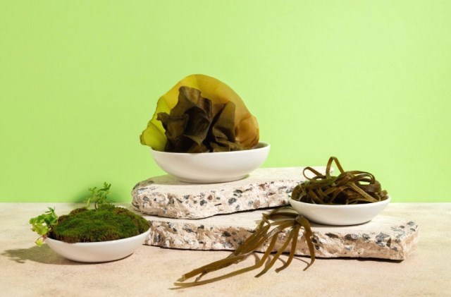 3 Rekomendasi Sea Moss Gel untuk Rawat Kulit dari Dalam Tubuh