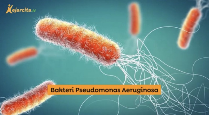 Enggak Semua Jahat, Kenalin Bakteri Penyelamat Bumi Pseudomonas aeruginosa Si Pengurai Logam Berat