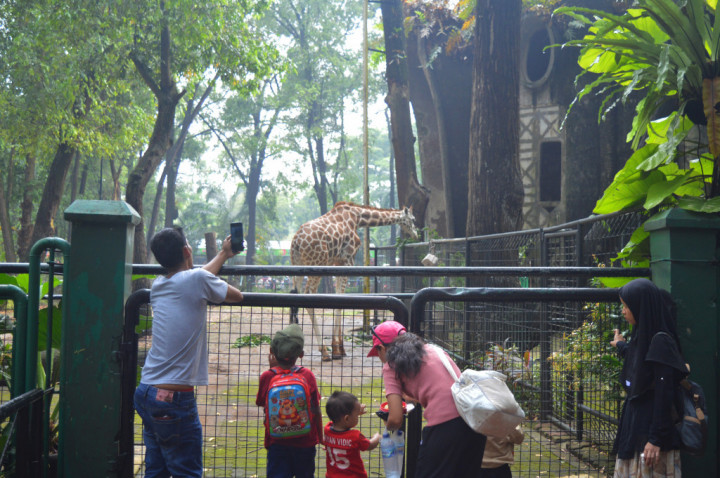 Night at Ragunanzoo Buka Mulai Hari Ini, Segini Harga Tiketnya