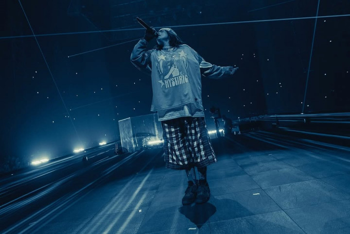 Billie Eilish Ditarik Penonton Hingga Terbanting saat Konser