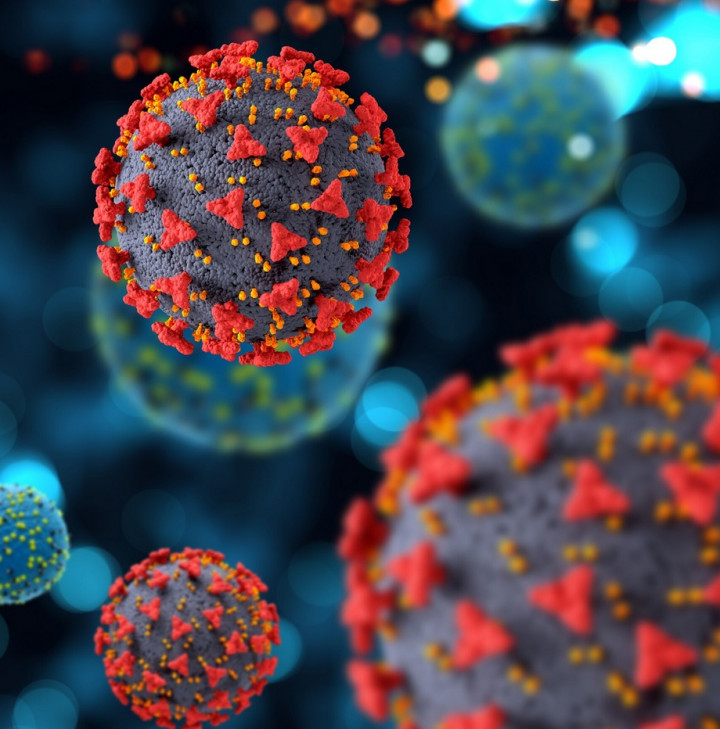 Kenali Yuk, Ini Ciri-Ciri Virus