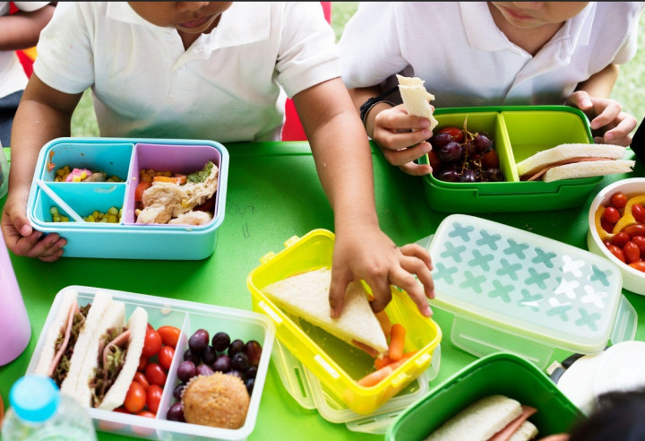 Belajar dari Kasus MBG, Pentingnya Sanitasi Modern di Dapur Publik