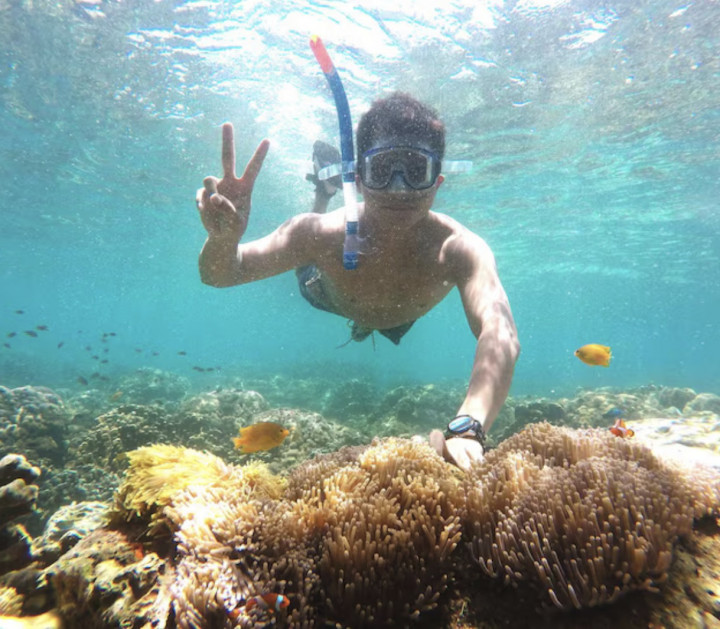 4 Rekomendasi Tempat Snorkeling dan Menyelam di Indonesia yang Memanjakan Mata