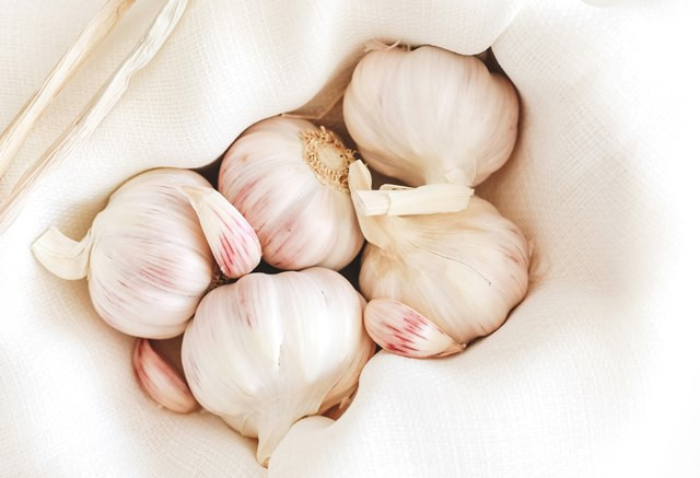 Inilah 5 Herbal yang Bisa Mempercepat Proses Penyembuhan Tifus
