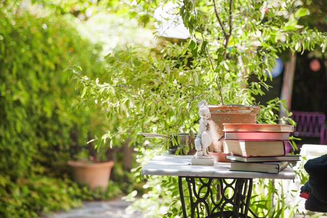 Tips bikin rumah tetap sejuk meski menghadap ke arah barat. Foto: Freepik