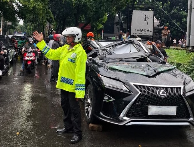 Kronologi Pengemudi Lexus Tewas Tertimpa Pohon Tumbang di Pondok Indah