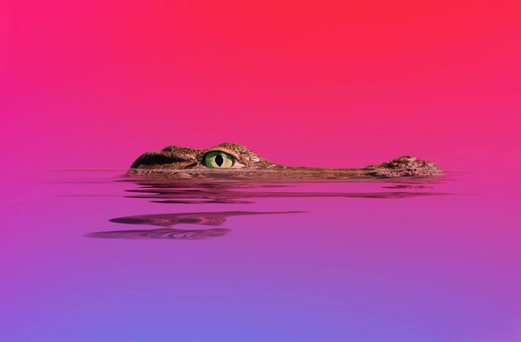 Ilustrasi