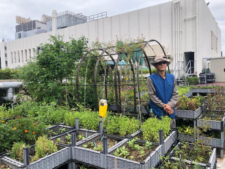 Inovasi Hotel Bintang Lima di Hong Kong Realisasikan Konsep 'Farm to Table'