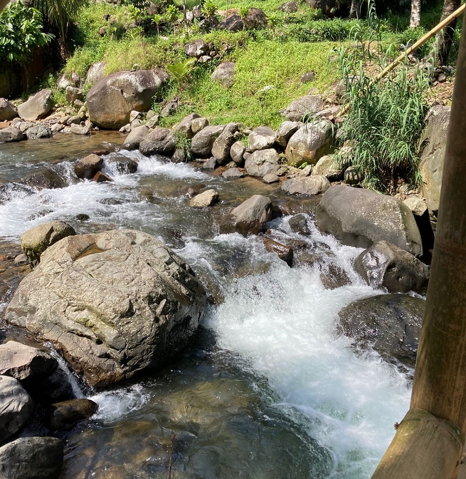 Ilustrasi sungai. Medcom.id/Renatha Swasty