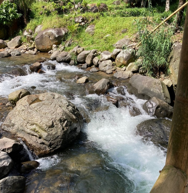 Ilustrasi sungai. Medcom.id/Renatha Swasty