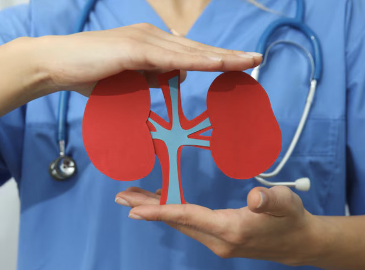 Ini Alternatif Terapi Suportif bagi Pasien Nefrolitiasis