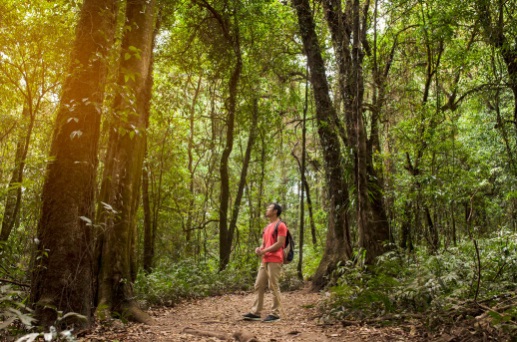 Ingin Fokus dan Ingatan Tajam? Coba 5 Rutinitas Jepang yang Bikin Otak Bekerja Maksimal