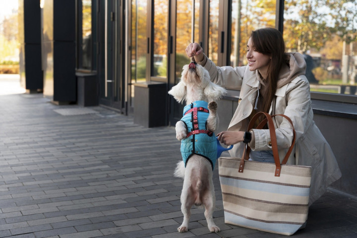 Ini 5 Mal Pet Friendly di Jakarta agar Anabul Diajak Main