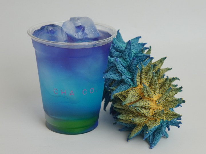 Tren Minuman Fungsional Makin Meningkat