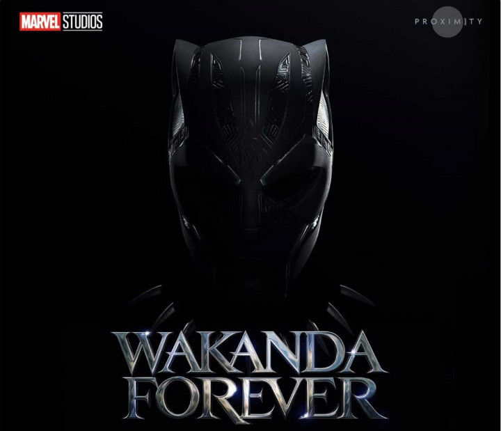 Wakanda Bangkit Lagi! Sutradara Umumkan Black Panther 3