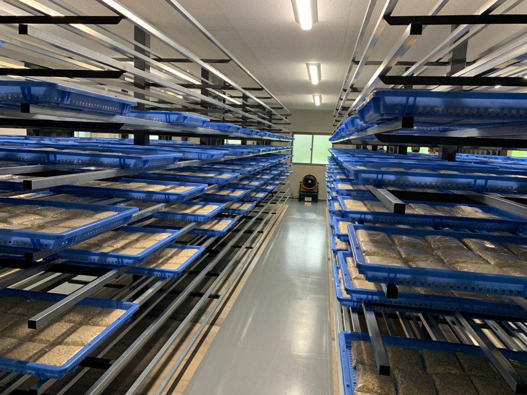 Produksi Tempe. Foto: Kemendiktisaintek