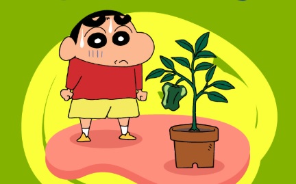 Hubungan Memanas, Tiongkok Tunda Penayangan Dua Film Jepang