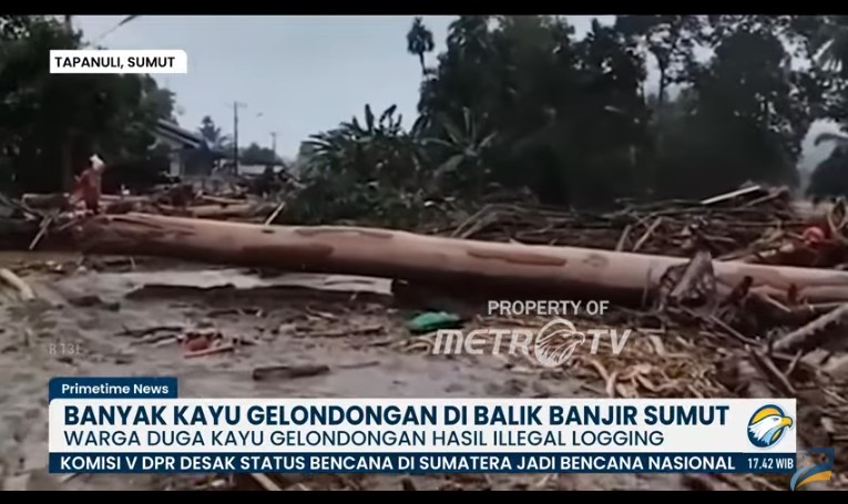 Banyak kayu gelondongan ditemukan di banjir di Tapanuli. Foto: Metro TV