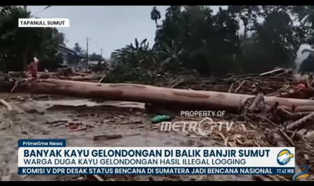 Pelajaran Kesadaran Jaga Hutan ke Siswa Percuma Kalau Orang Dewasa Terus Mempertontonkan Ketidakpedulian pada Alam