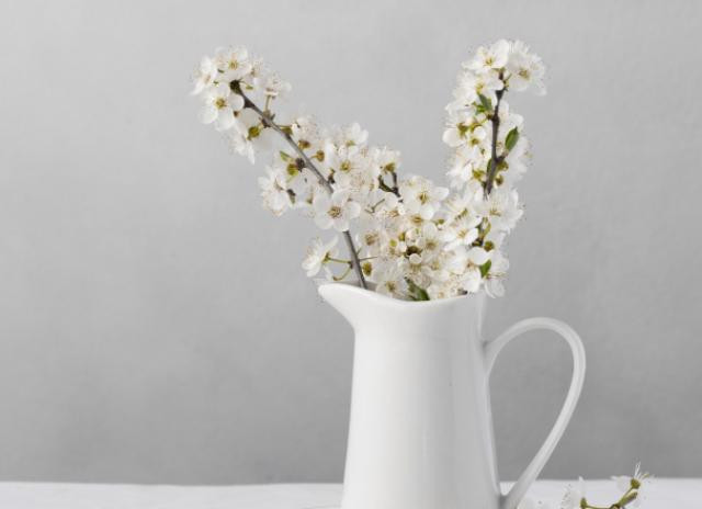 Bunga paling harum untuk rumah yang cocok di iklim tropis. Foto: Freepik