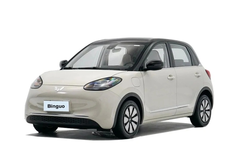 Wuling Binguo EV