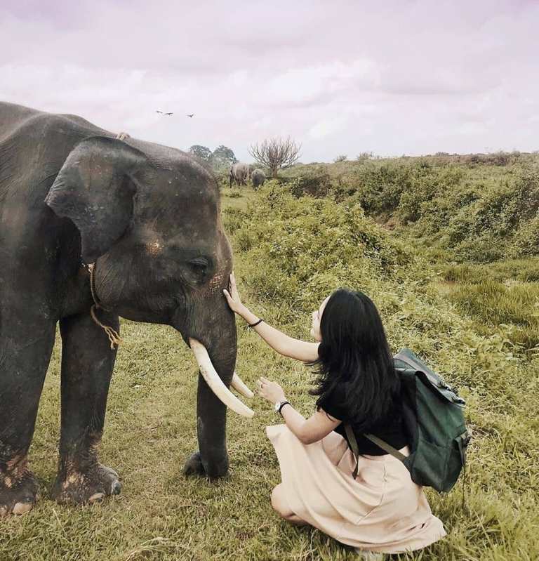 Tempat ini bagus untuk belajar tentang pelestarian alam lewat pusat konservasi gajah. Dok: @mayangsesara 