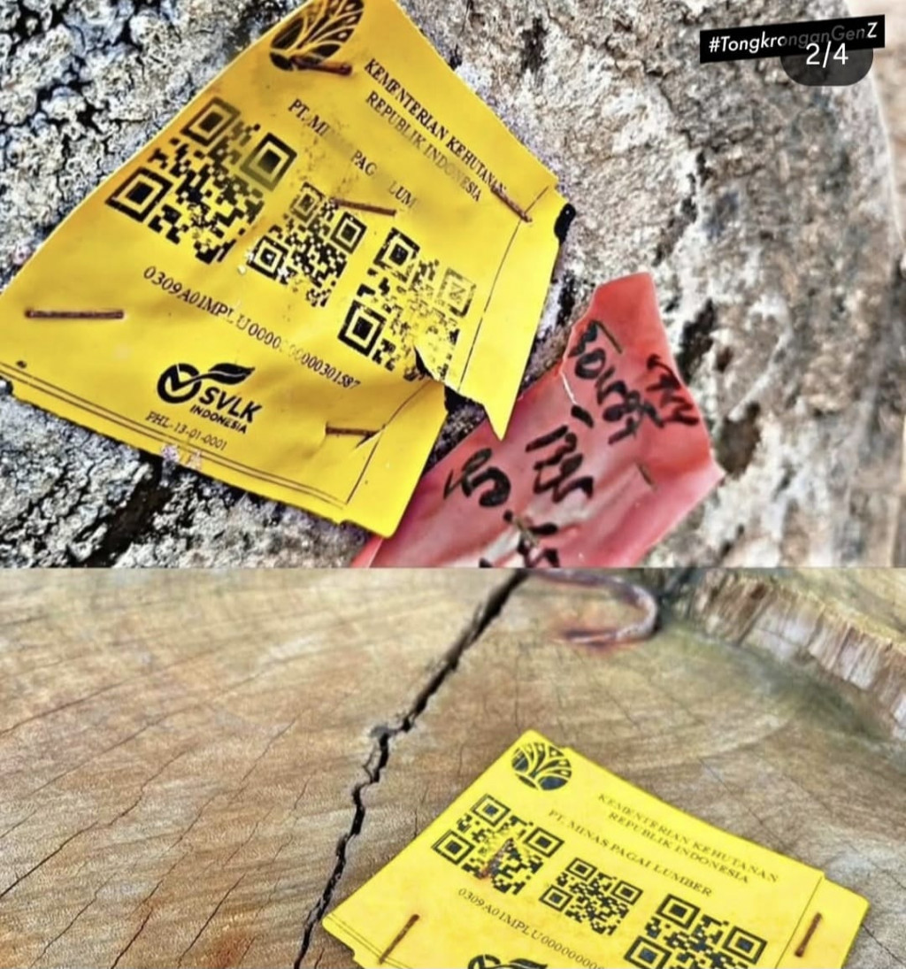 Kayu gelondongan berlaber Kementerian Kehutanan dan PT Minas Pagai Lumber. Foto: Instagram/folkshitt