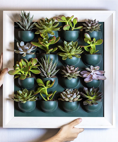 Desain tanaman dinding akan jadi tren di 2026.