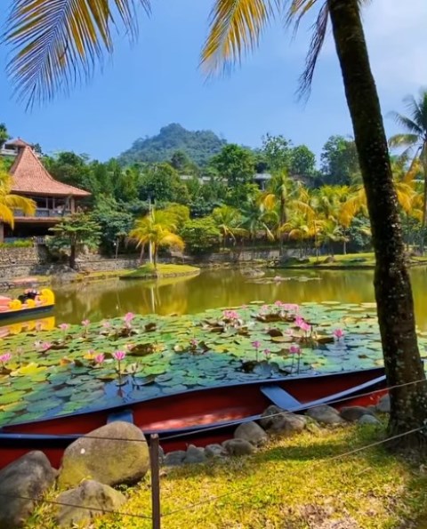 Kampung Turis Karawang. (Foto: Dok. Instagram Kampung Turis Karawang/@kampungturis_)