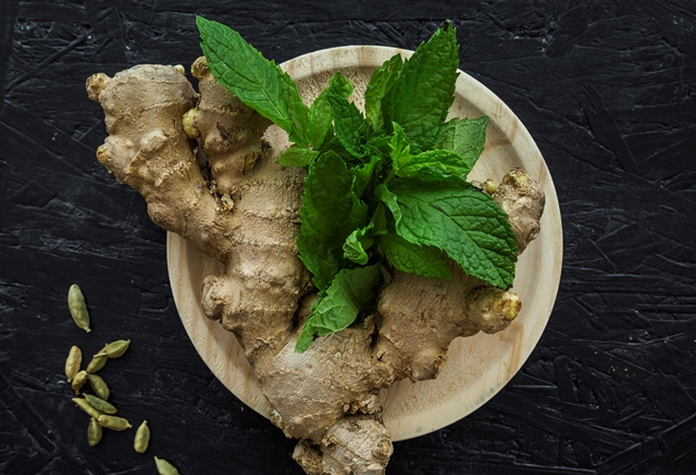 Tanaman herbal yang bisa kamu tanam di rumah. Foto: Freepik