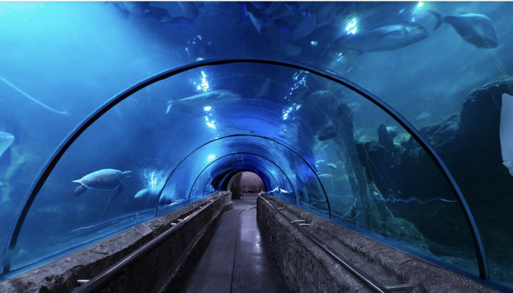 Mau Liburan ke Sea World? Ini Harga Tiket Masuknya