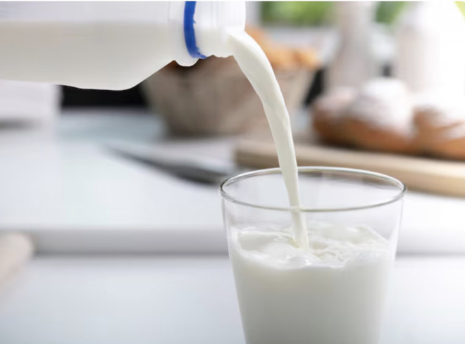 Banyak orang mengira susu adalah satu-satunya sumber kalsium. Ilustrasi Freepik