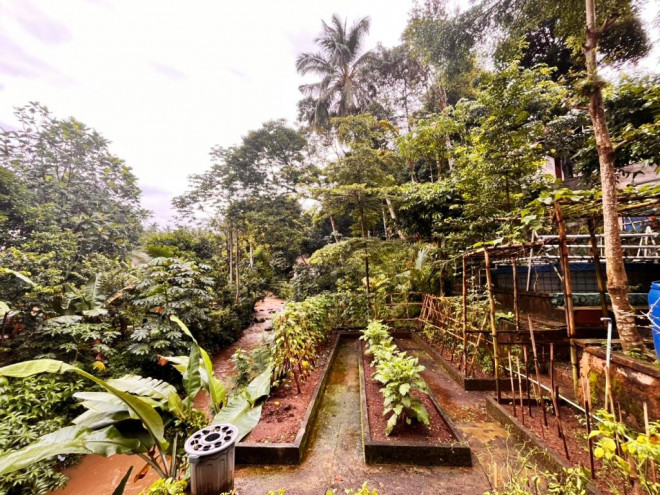 Setiap jengkal Desa Wisata Ciderum merupakan ruang harapan. Dok. A. Firdaus/Medcom