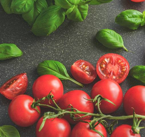 Apakah Aman Makan Tomat Setiap Hari? Ini Khasiat yang Harus Diketahui